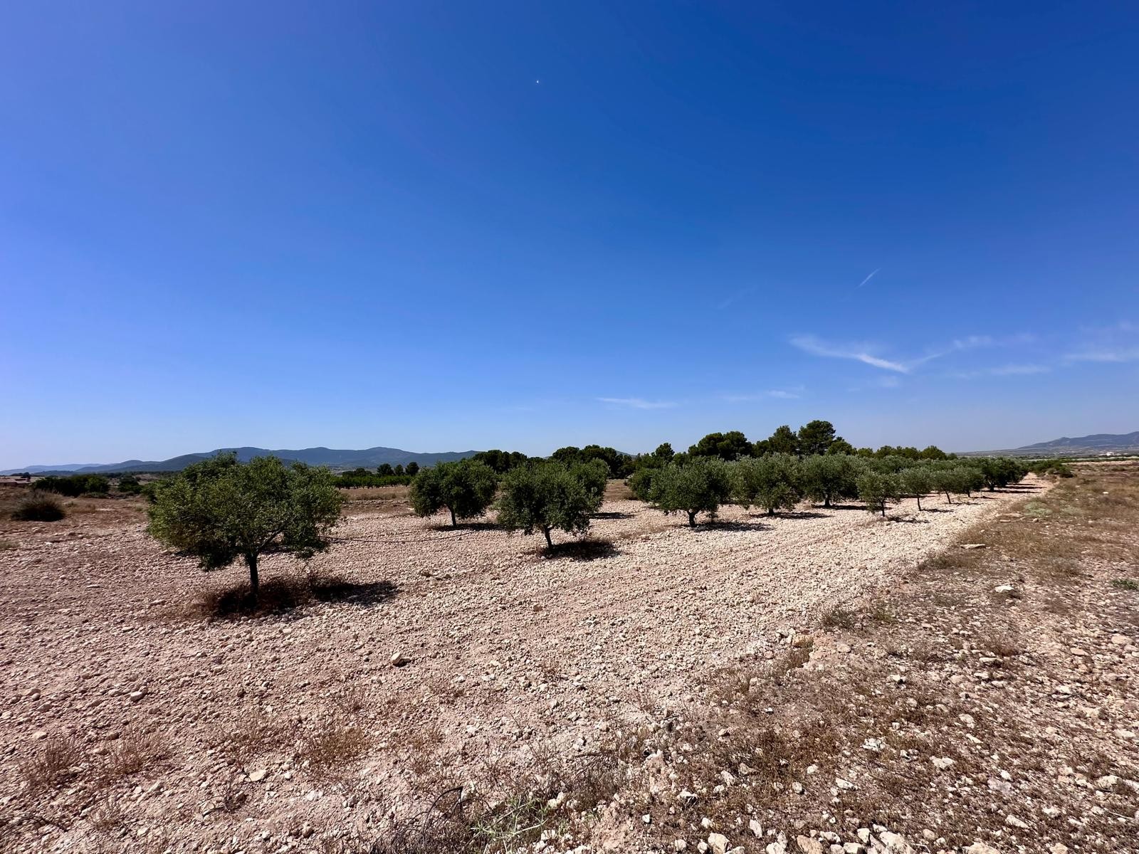 Dining area in land for sale in Monóvar/Monóver