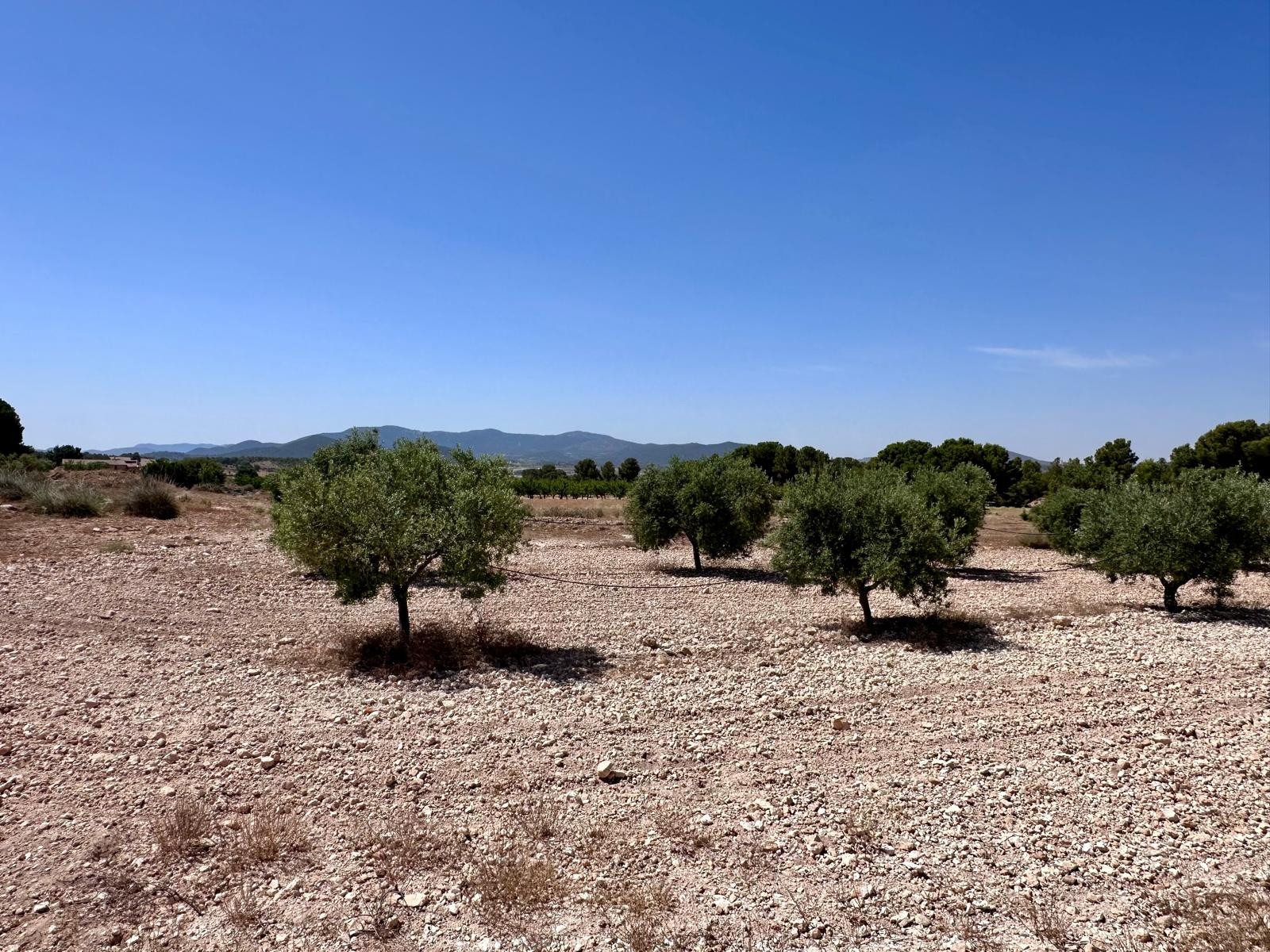 Bedroom in land for sale in Monóvar/Monóver