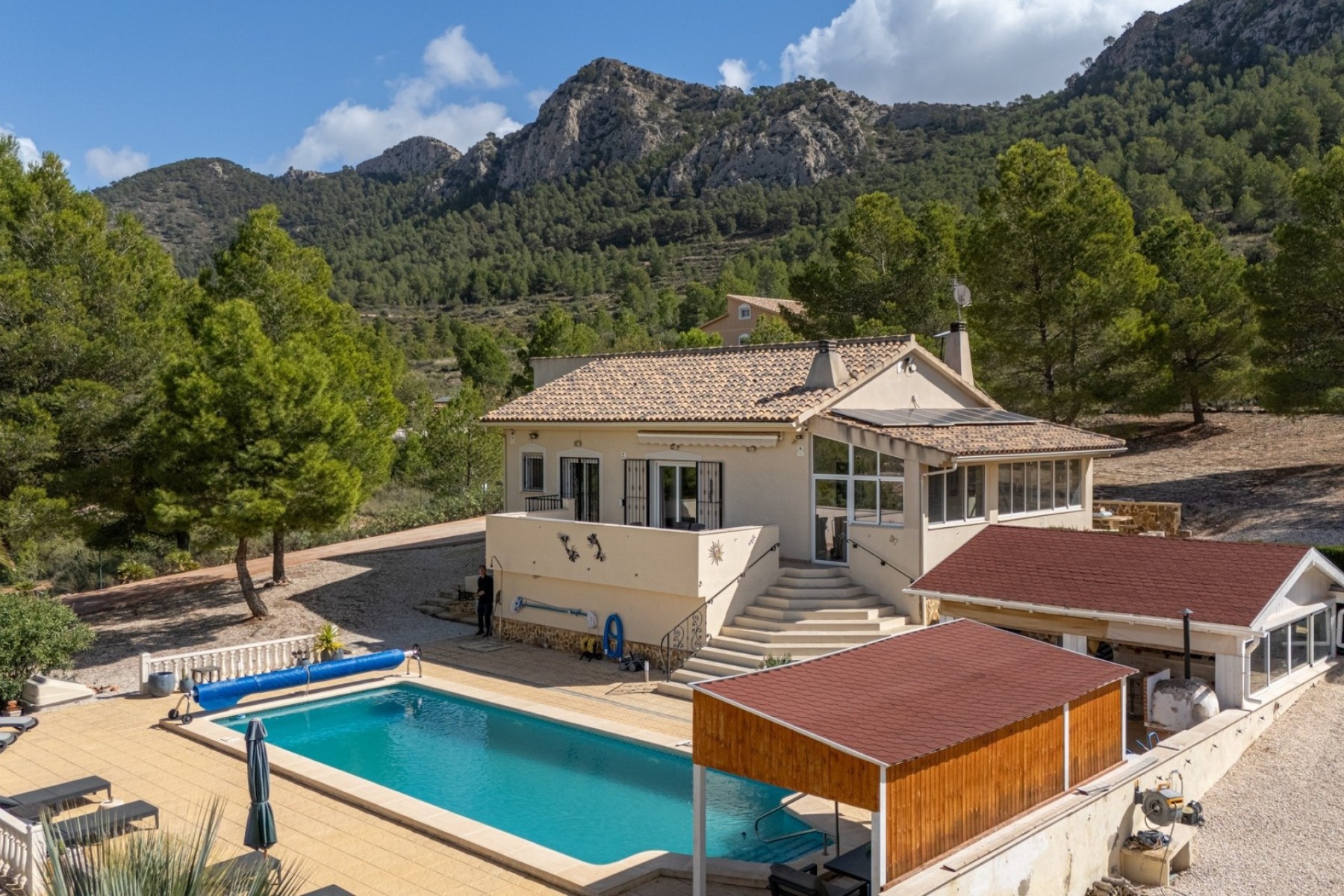 Garden in villa for sale in La Zarza