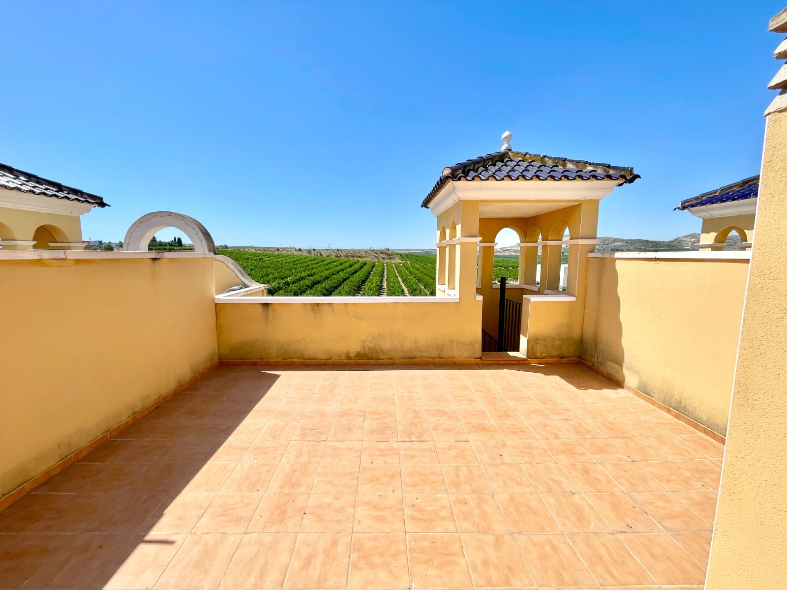 Pool area in penthouse for sale in Algorfa