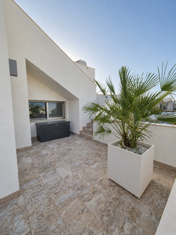 Pool area in villa for sale in San Miguel de Salinas