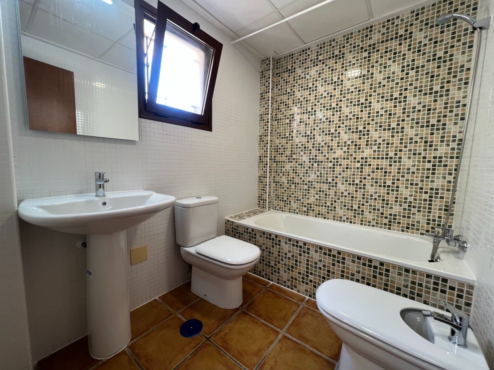 Garden in villa for sale in Algorfa