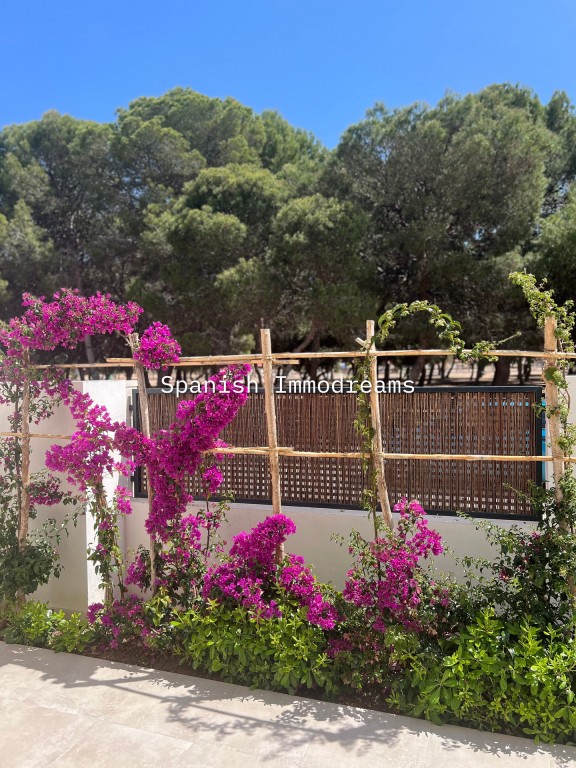 Pool area in apartment for sale in Santiago de la Ribera