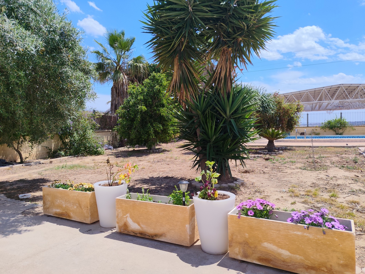 Exterior view in villa for sale in Los Montesinos