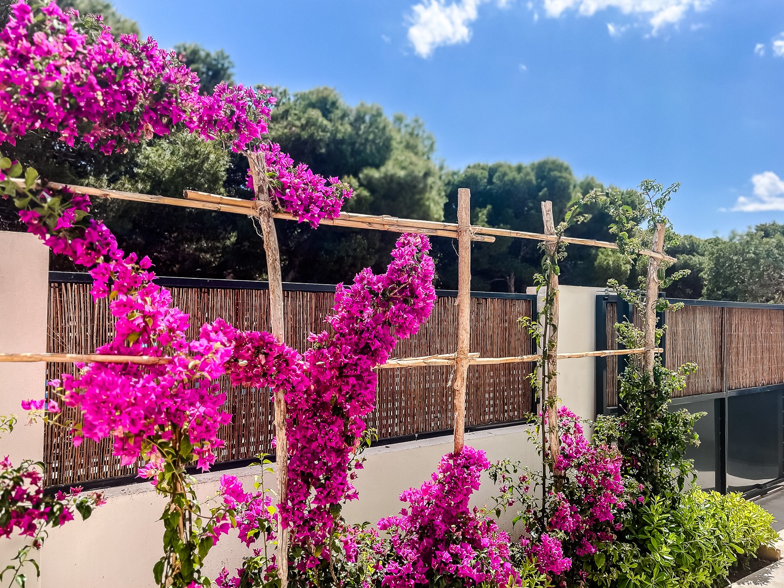 Bedroom in apartment for sale in San Javier