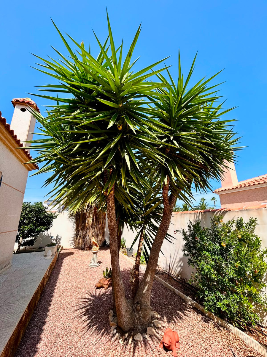 Terrace in villa for sale in Torrevieja