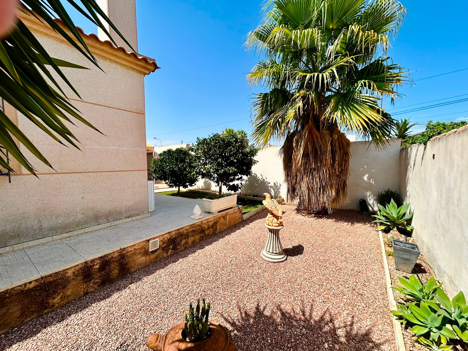 Pool area in villa for sale in Torrevieja