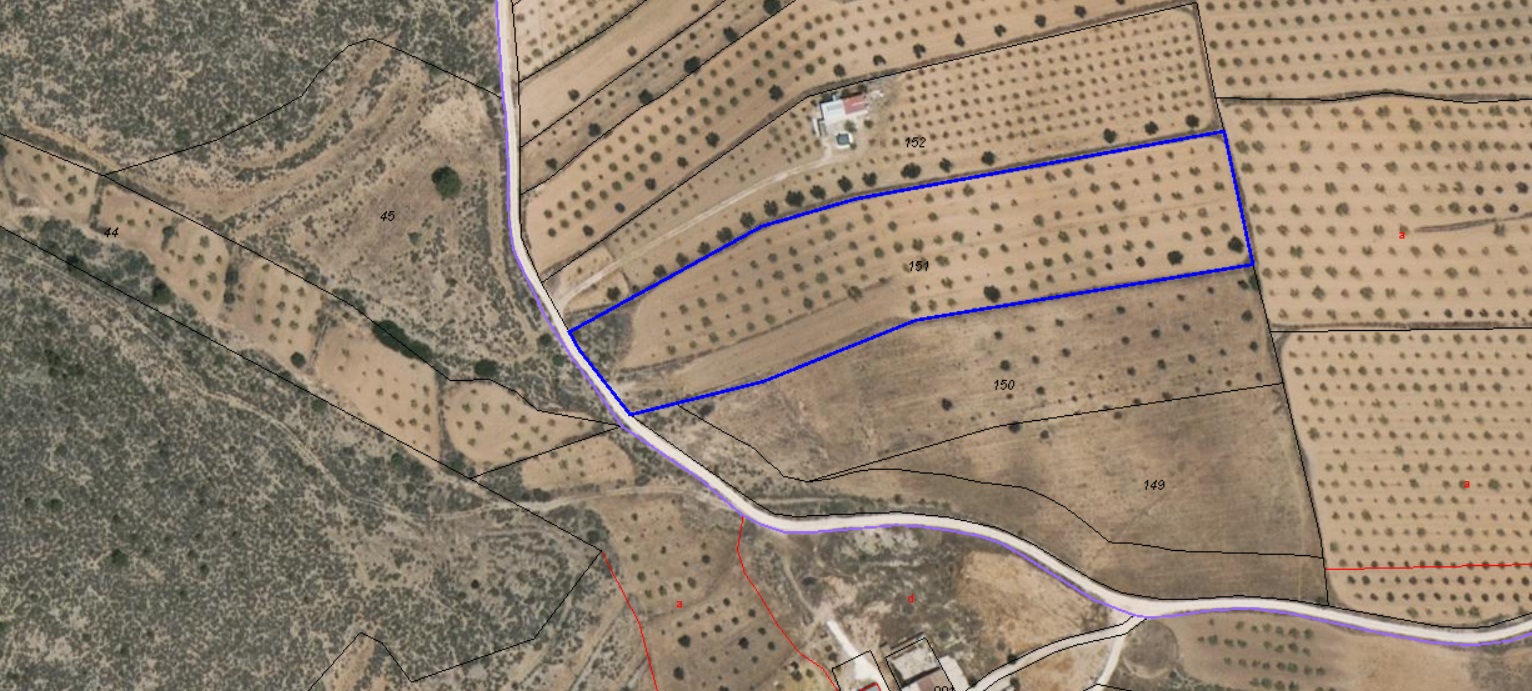 Terrace in land for sale in Pinoso