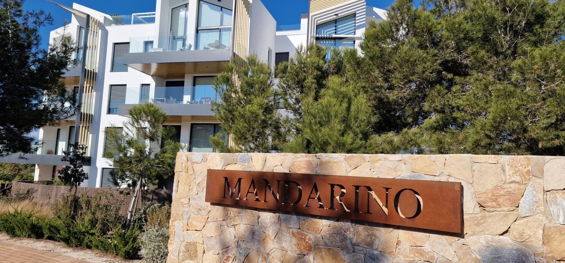 Garden in apartment for sale in Orihuela