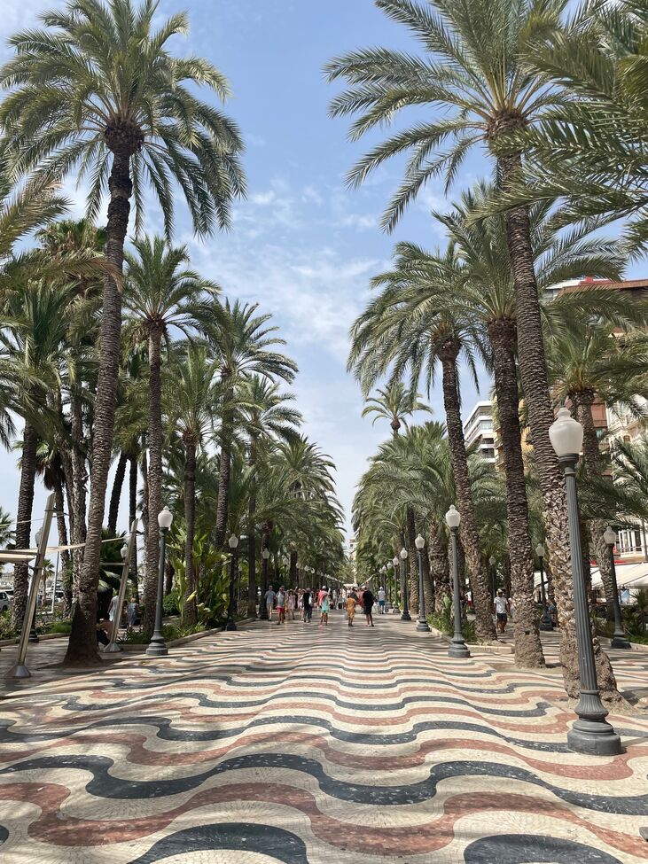 Terrace in apartment for sale in Alicante
