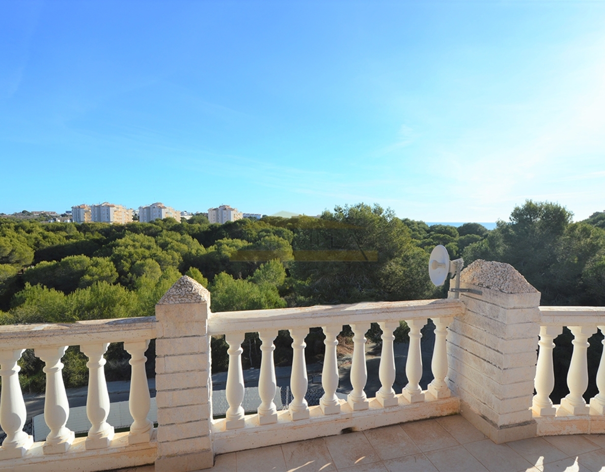 Exterior view in villa for sale in Campoamor