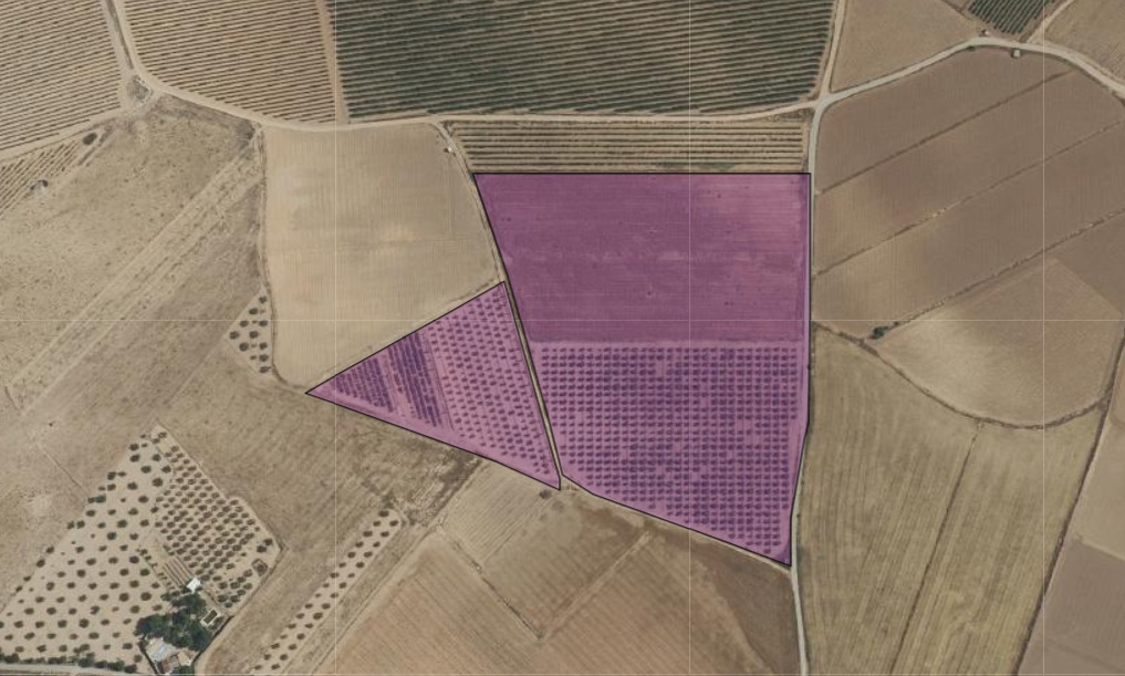 Exterior view in land for sale in Yecla