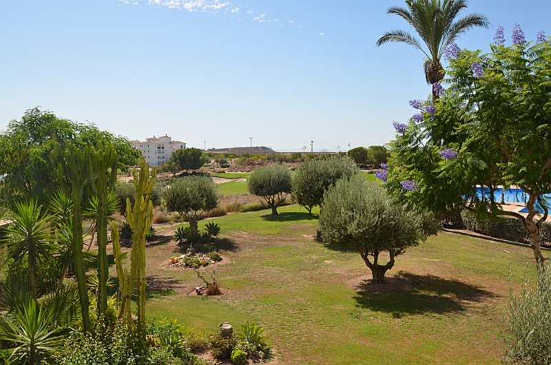 Living room in apartment for sale in Hacienda Riquelme Golf Resort