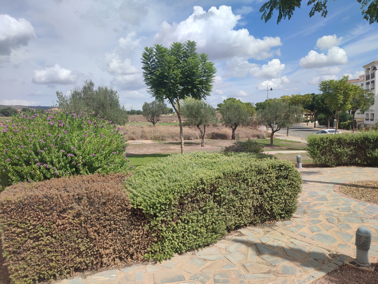 Master bedroom in apartment for sale in Hacienda Riquelme Golf Resort