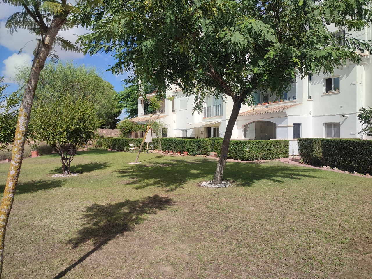 Terrace in apartment for sale in Hacienda Riquelme Golf Resort