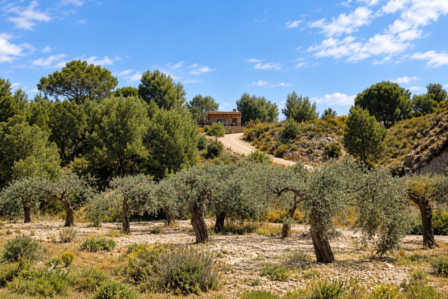Garden in villa for sale in Murcia