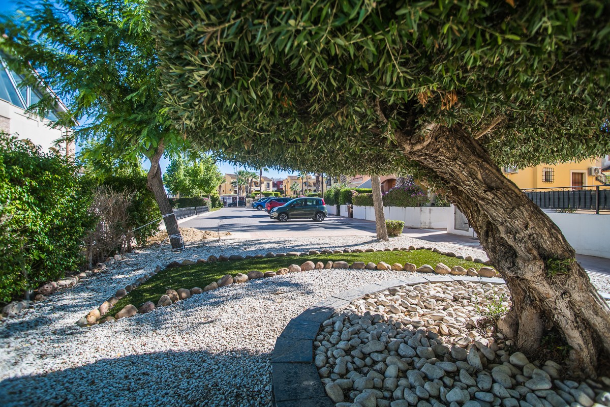 Garden in villa for sale in Algorfa