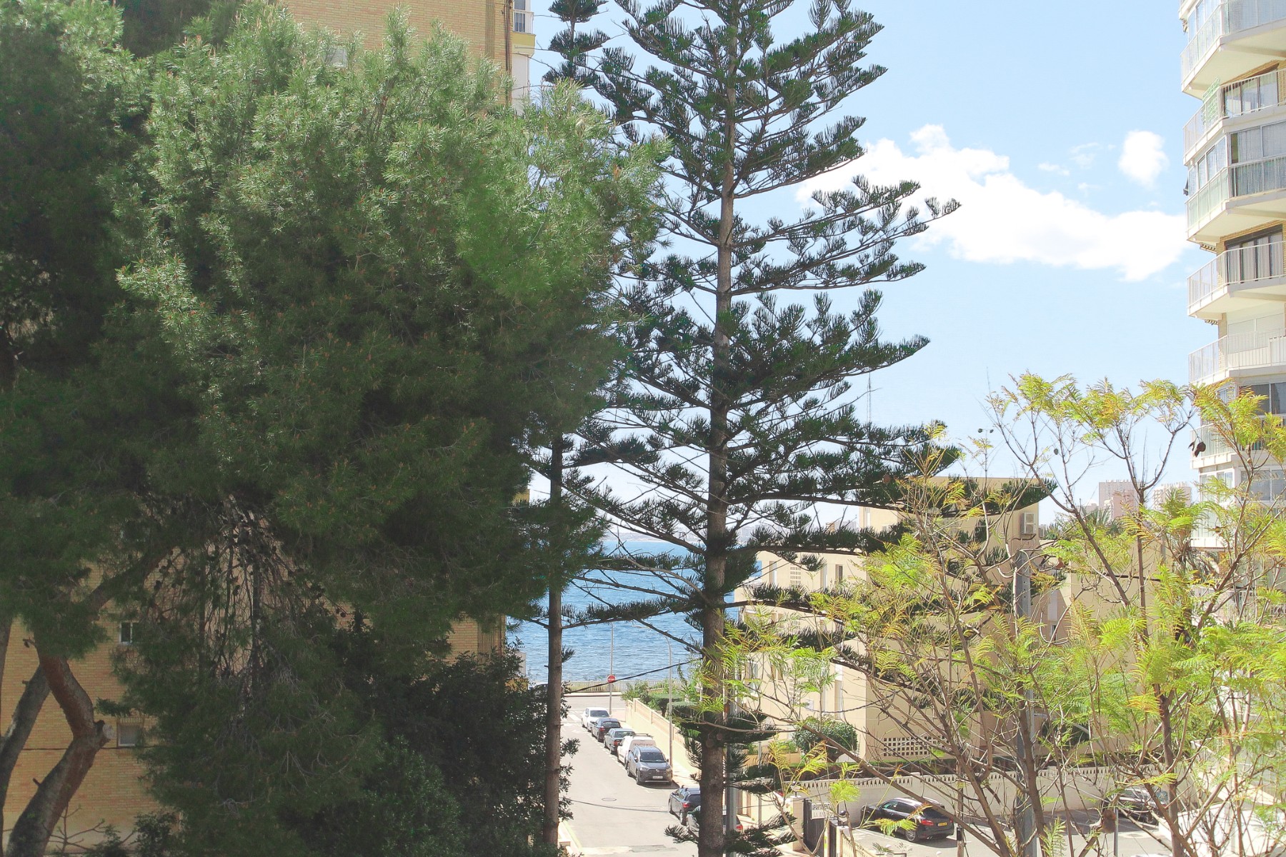 Pool area in villa for sale in El Campello