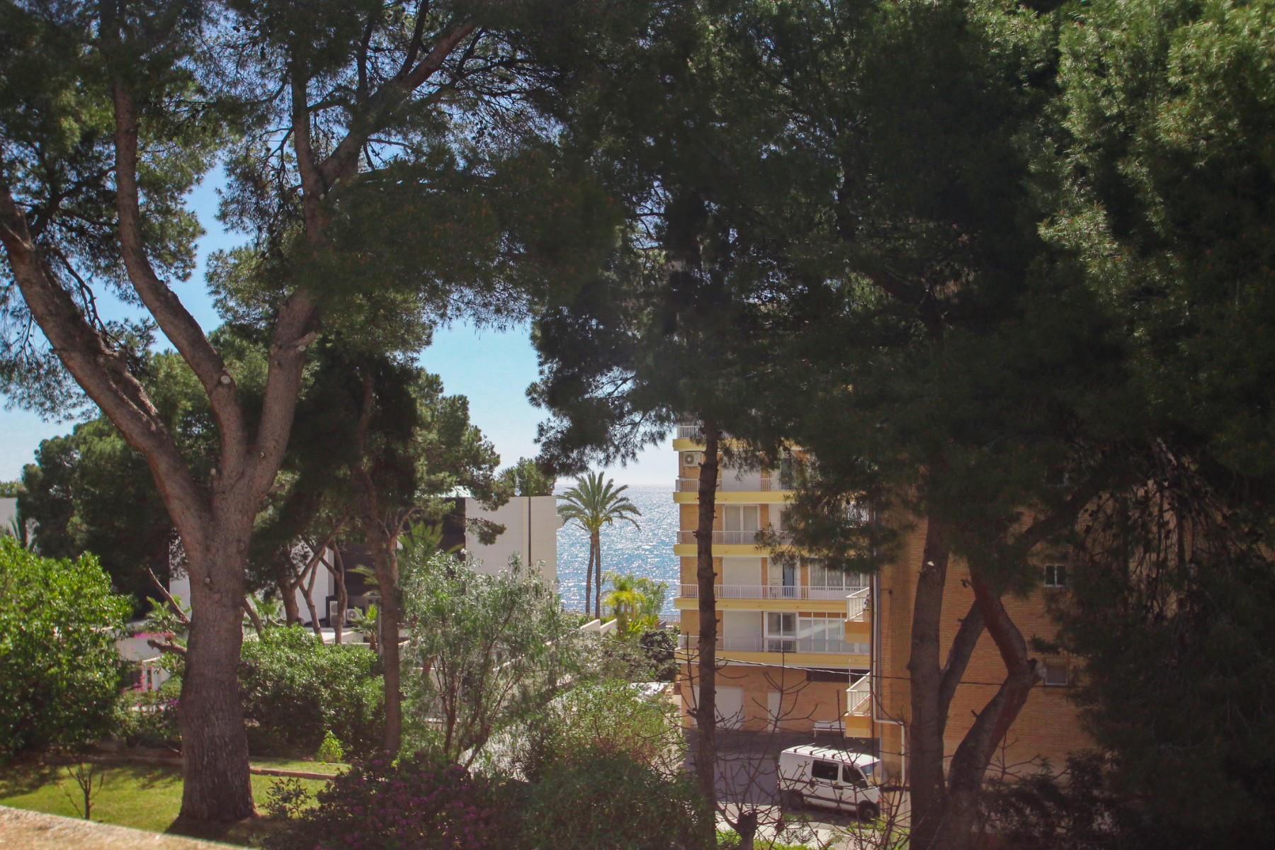 Garden in villa for sale in El Campello