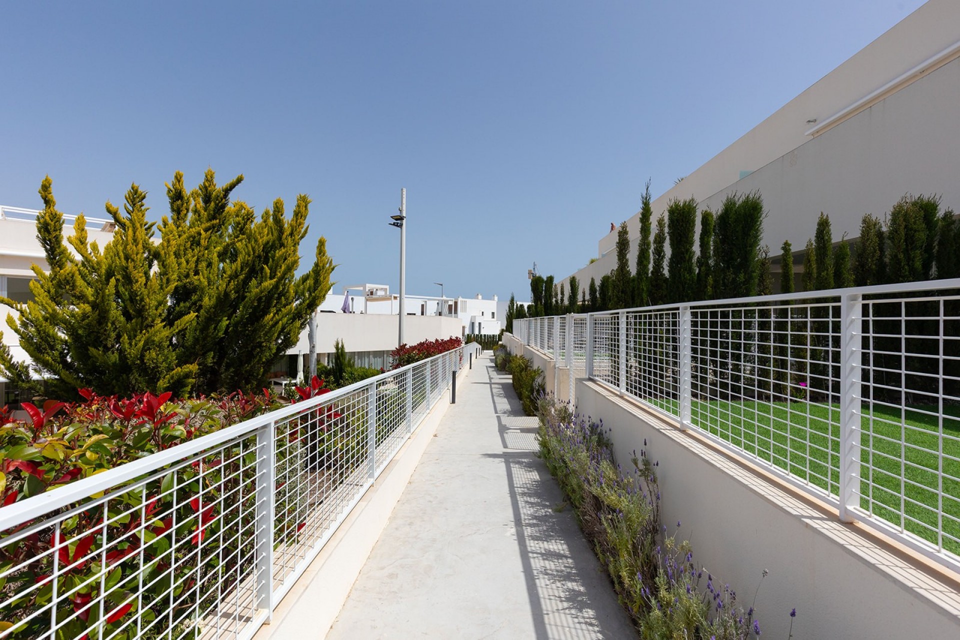 Pool area in apartment for sale in Torrevieja