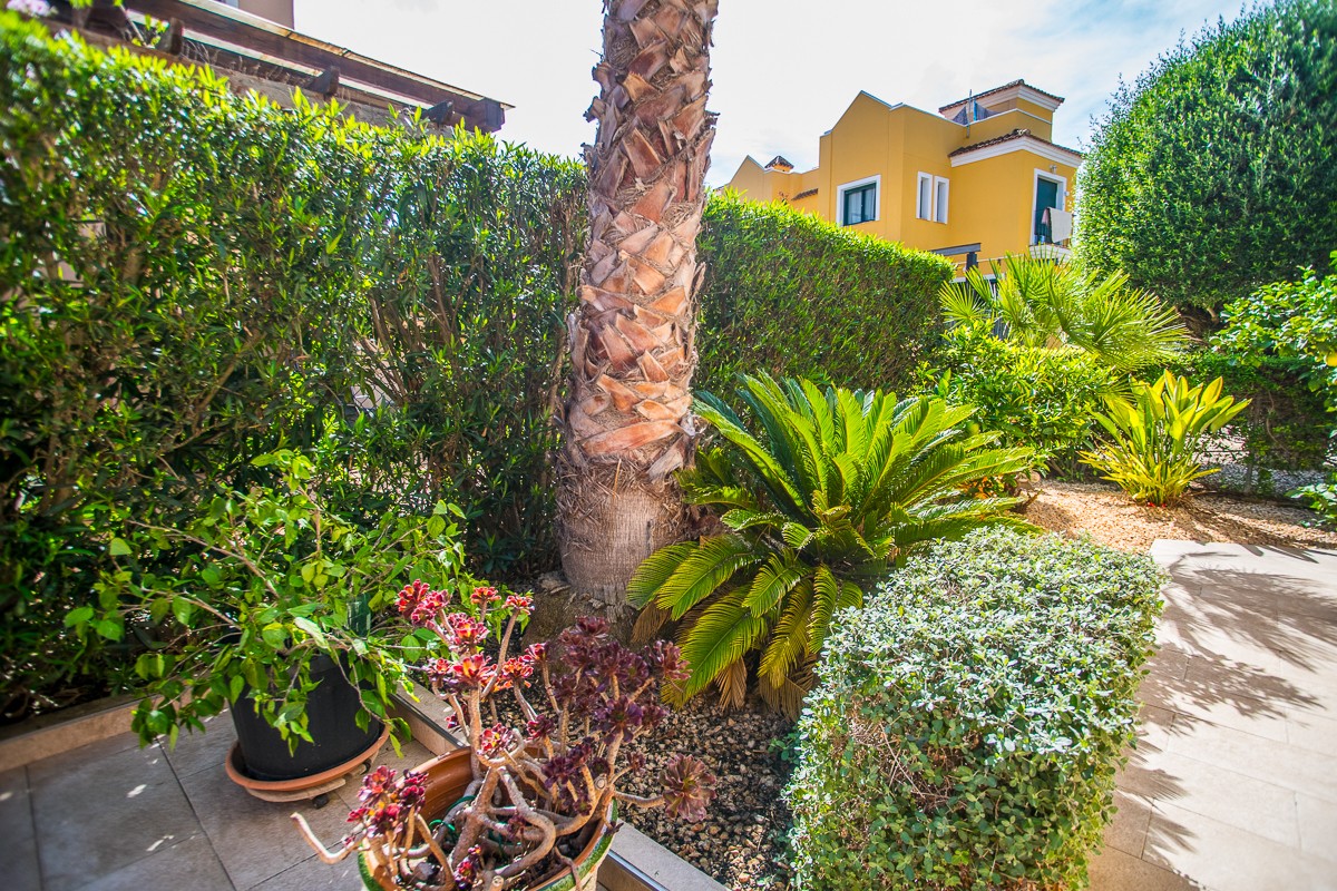 Terrace in villa for sale in Torrevieja